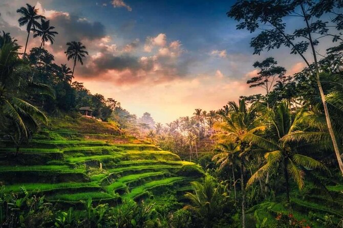 Private Bali Tour with Lisensed Bali Driver - The driver and pacing: why a private licensed driver is more than transport
