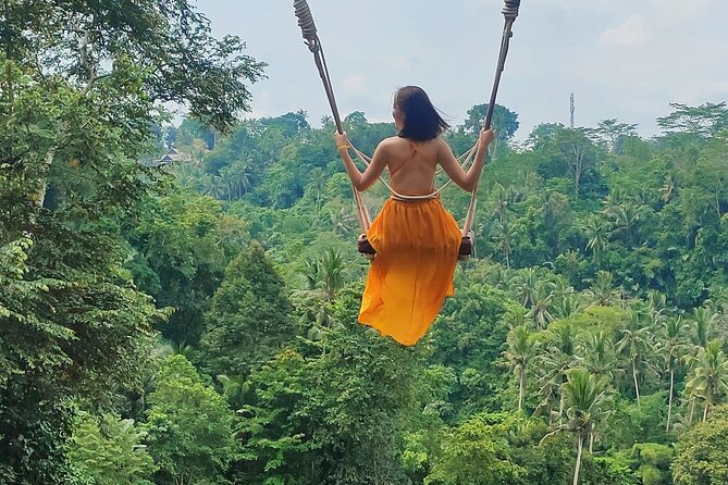 Private Bali Tour with Lisensed Bali Driver - Things to do before you go so the day feels smooth