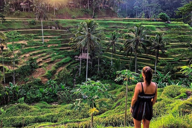 Private Bali Tour: Wonderful Ubud with Swing - Tegalalang Rice Terraces: Photo Power in 45 Minutes