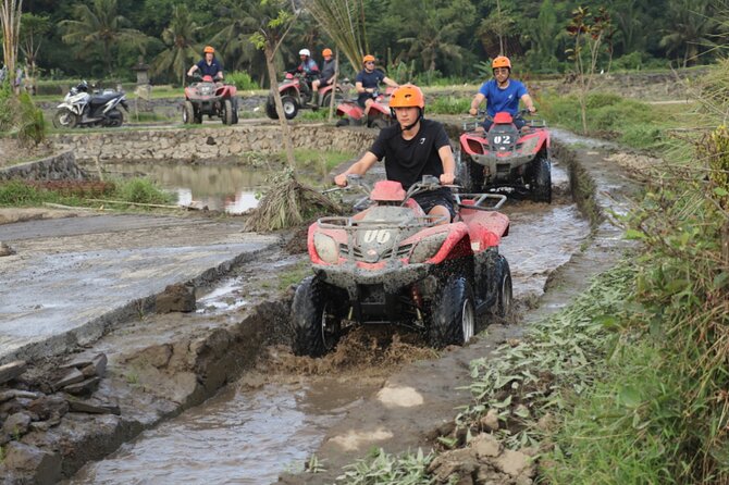 Private Balinese Cooking Class and Balinese house -All inclusive - The Included Swing Ticket and Bongkasa Area Fun