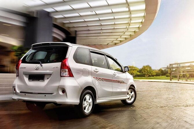Private Car Charter - Explore Best of Bali - Private Chauffeur Freedom in Ubud: What You’re Really Buying