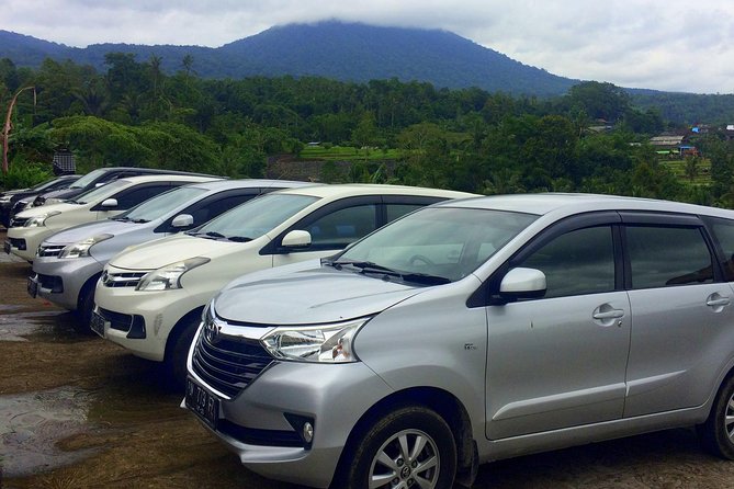 Private Car Charter - Explore Best of Bali - How the English-Speaking Driver Helps You (Without Taking Over)