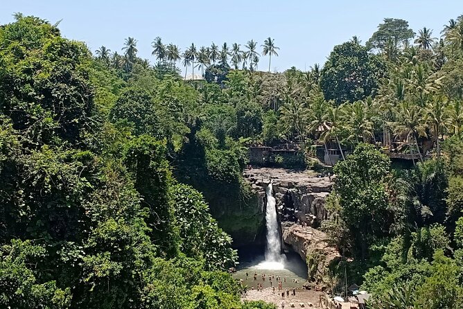 Private Car Charter: Hire Car with English Speaking Driver - Why a 10-Hour Private Driver Works So Well in Ubud