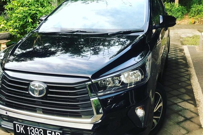 Private Car Charter in Bali with an English-speaking Driver - Car comfort and group size: don’t guess, confirm