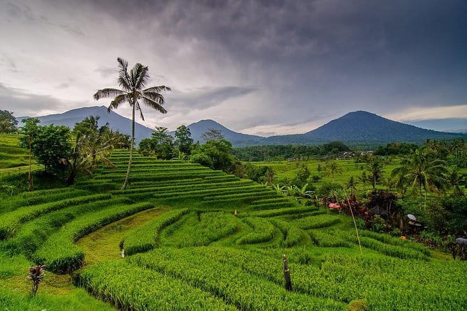 Private Chartered Car to Bali Temples With Besakih Temple - Stop 5: Besakih Temple, the Mother Temple on Mount Agung’s slopes