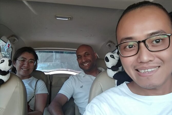 Private Chauffeur Service in Bali - Price and logistics: what $49.99 per group really means