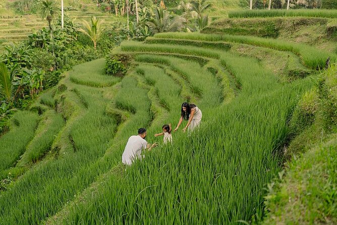 Private Customize Ubud Day Tour With Experienced Driver - Key highlights at a glance