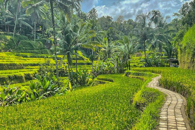 Private Customize Ubud Day Tour With Experienced Driver - A flexible private day in Ubud means you don’t waste it