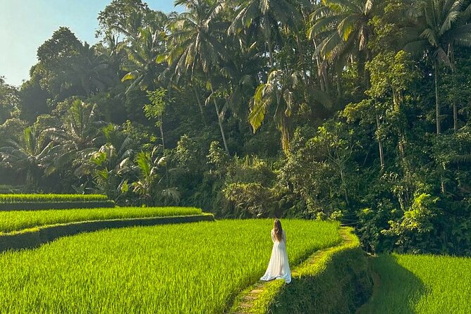 Private Customize Ubud Day Tour With Experienced Driver - How the day actually works: you pick the mix
