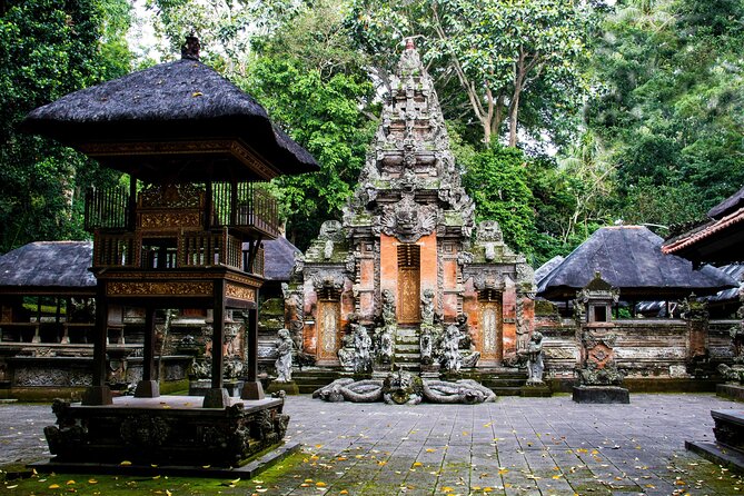Private Customize Ubud Day Tour With Experienced Driver - Rice terraces and ridge walks: Tegalalang and Campuhan for big scenery