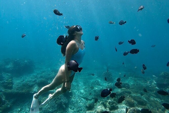 Private Customized Tour with Local Guide - Kuta-to-Bali Highlights: What This 10-Hour Private Day Really Means