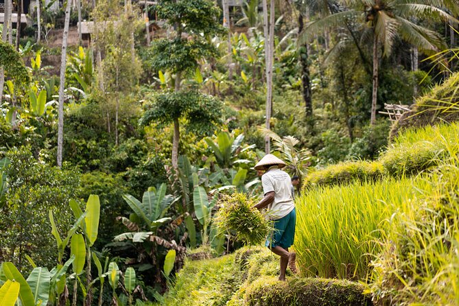 Private Customized Trip to Ubud - Door-to-door pickup around Ubud and south Bali