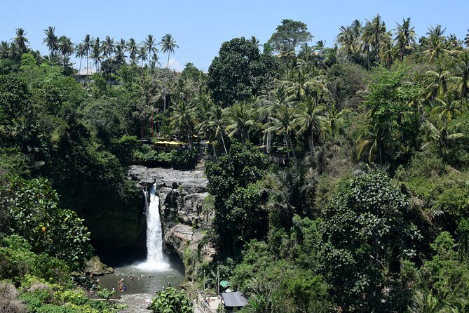 Private Customized Trip to Ubud - Stop 5: Aloha Ubud Swing for adrenaline and time for big photos