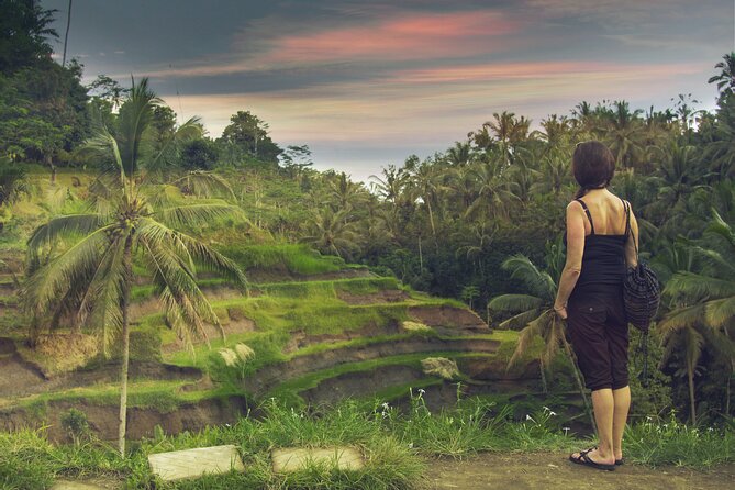 Private Customized Trip to Ubud - Price and the real budget (entrance fees matter here)