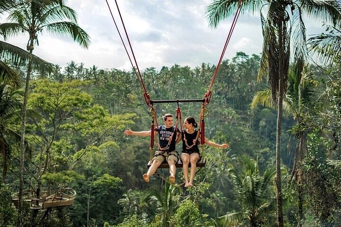 Private Day Tour In Ubud With Jungle Swing All Inclusive - Seminyak to Ubud in One Day: What Private Pickup Actually Buys You