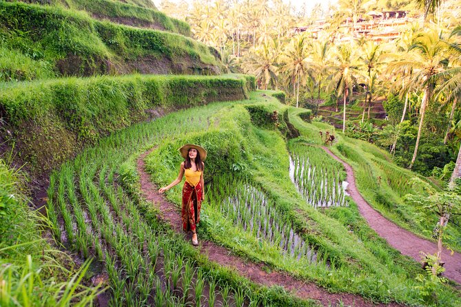 Private Day Tour: The Highlight of Ubud - Sacred Monkey Forest Sanctuary: temples, macaques, and easy walking