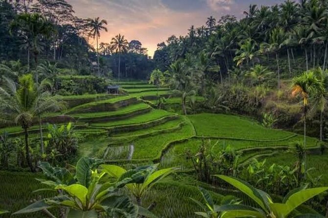 Private Day Tour To Waterfalls And Ubud Sightseeing - Stop 4: Tibumana Waterfall for a Calmer Nature Break