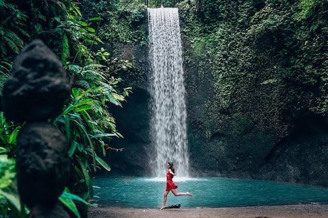 Private Day Tour To Waterfalls And Ubud Sightseeing - Hotel Pickup, Private Transport, and the Real Meaning of Flexibility