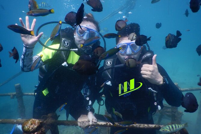 Private Diving Experience in Nusa Dua with Hotel Pick Up - Nusa Dua’s calm-water plan for your first underwater session