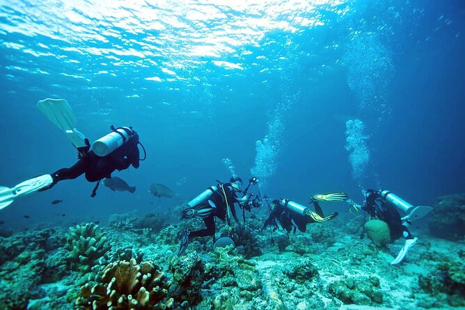 Private Diving Experience in Nusa Dua with Hotel Pick Up - Stop 1 in Nusa Dua: a spot built for comfort and control