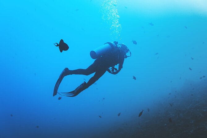 Private Diving Experience in Nusa Dua with Hotel Pick Up - Stop 2 at Tanjung Benoa: more water time without overcomplicating it