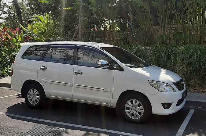 Private Driver in Bali with English Speaking - Satria Agrowisata coffee plantation: tastings without the hard sell