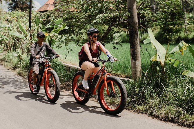 Private Fat Tire E-Bike Tour in Ubud - Beyond terraces: rice fields, forest lanes, and culture moments