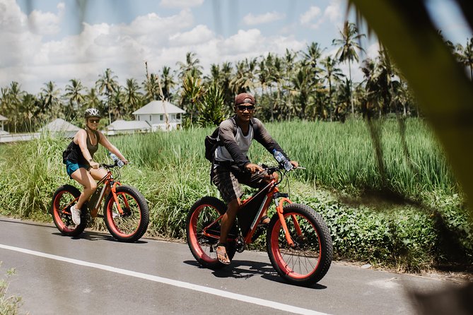 Private Fat Tire E-Bike Tour in Ubud - Pickup, transfers, and how to plan your day in Ubud