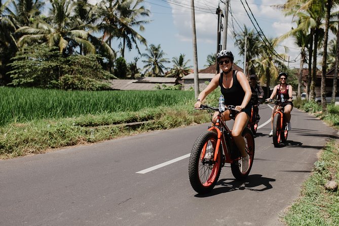 Private Fat Tire E-Bike Tour in Ubud - Price and value: why $75 can make sense in Ubud