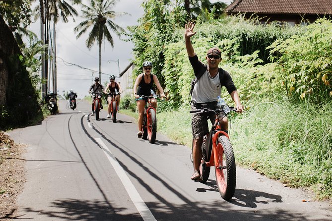 Private Fat Tire E-Bike Tour in Ubud - Tegalalang Rice Terrace: the fast viewpoint that works