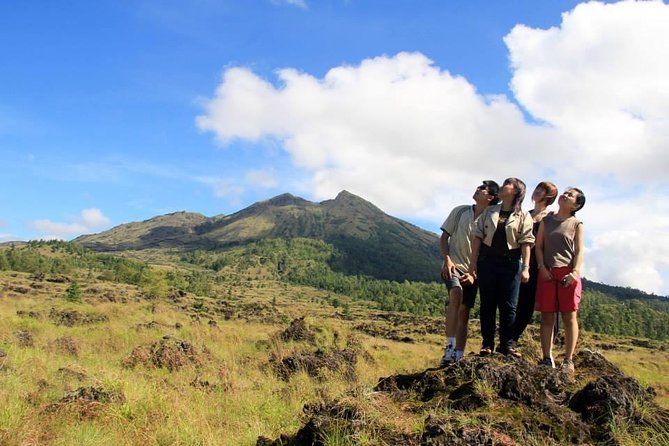Private Full-Day Bali Sightseeing Tour with Pickup and Lunch - Tegalalang Rice Terrace: more than a postcard
