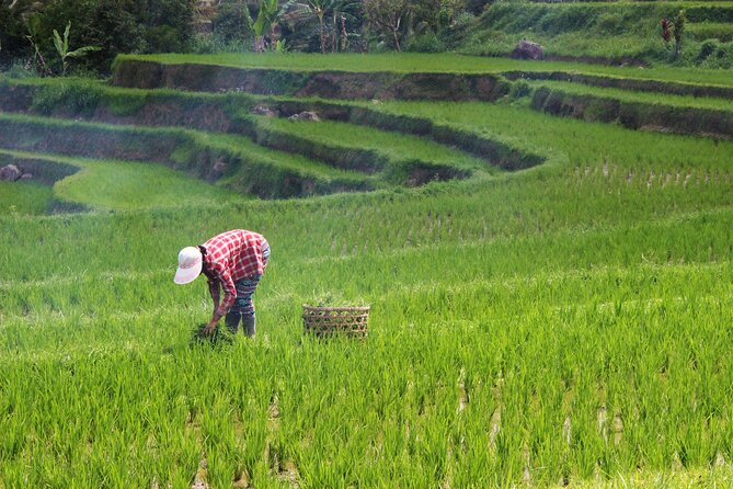 Private Full-Day Handara, Ulun Danu, Jatiluwih and Tanah Lot Tour - Private Means More Than Quiet: It’s About Control