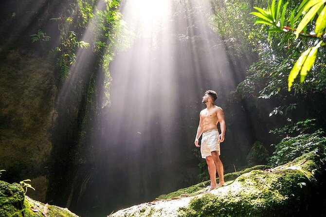 Private Full-Day Lempuyang Gate of Heaven Tour - Tegalalang Rice Terraces: subak irrigation views you can understand