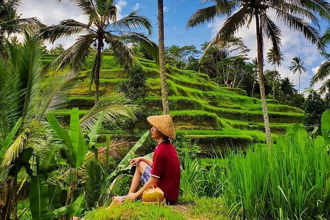 Private Full - Day Nusa Penida Island Tour - Stop 4: Kelingking Beach (Pantai Kelingking) and how to handle the crowds