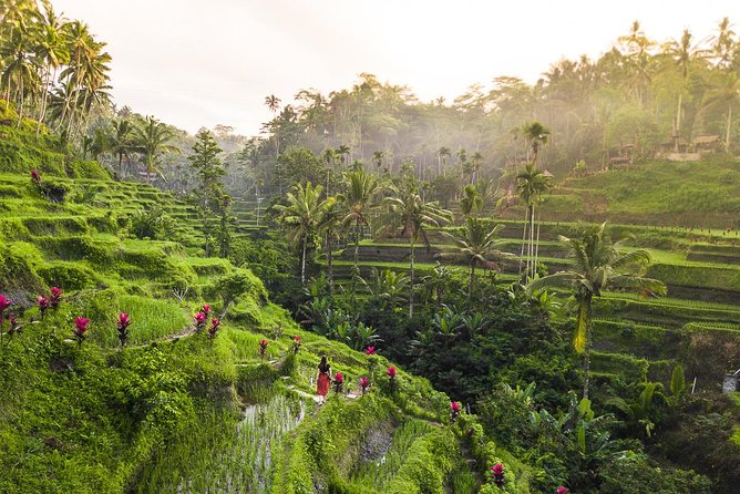 Private Full-Day Tour: Balinese Temples and Rice Terraces - Tegalalang Rice Terraces: Short Trek, Real Farmer Feeling