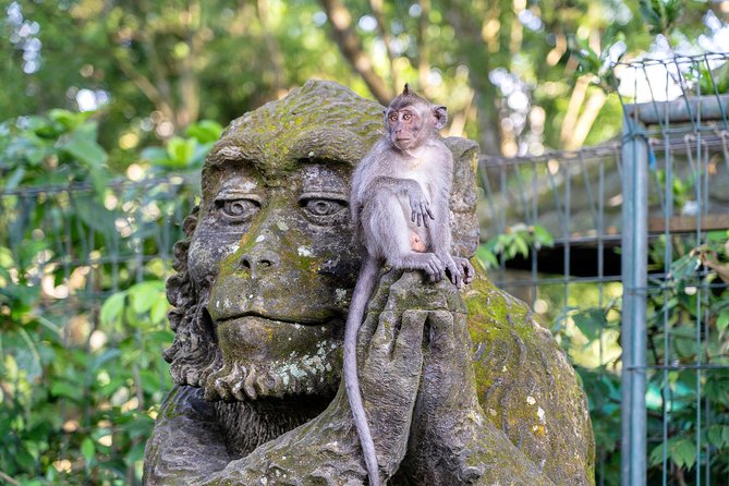 Private Full-Day Tour: Balinese Temples and Rice Terraces - What to Pack (and What to Wear) for This Route