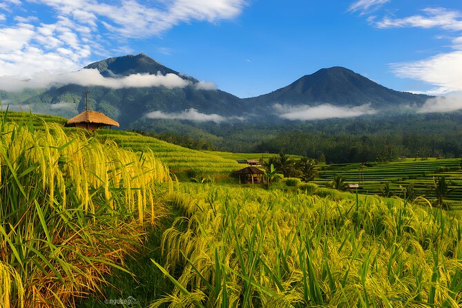 Private Full-Day Tour: Discover The Best of Bali Destination - Your driver and vehicle: small upgrade, big comfort