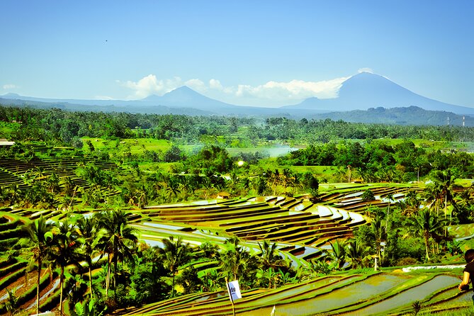 Private Full-Day Tour: Discover The Best of Bali Destination - Lake Tamblingan and Lake Buyan: farming slopes at nearly 4000 feet