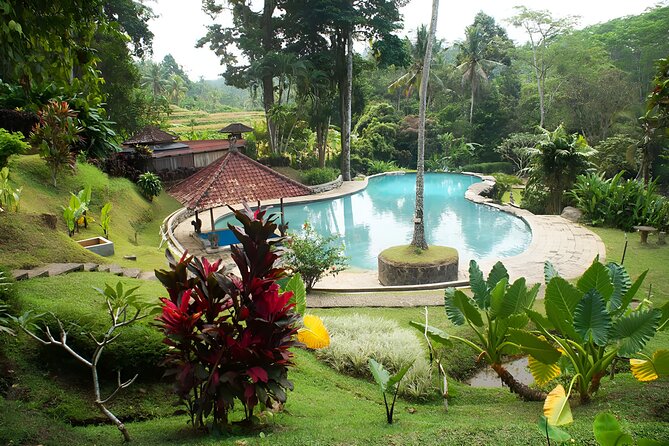 Private Full-Day Tour: Discover The Best of Bali Destination - Jatiluwih rice terraces: dramatic views with a slower feel