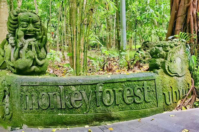 Private Full-Day Tour in Bali & FREE WIFI - Wi‑Fi on Board: Helpful for Planning and Peace of Mind