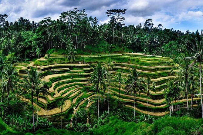 Private Full Day Tour In Ubud Bali - Celuk Village: Silver and Gold Craft Shopping Without the Guesswork
