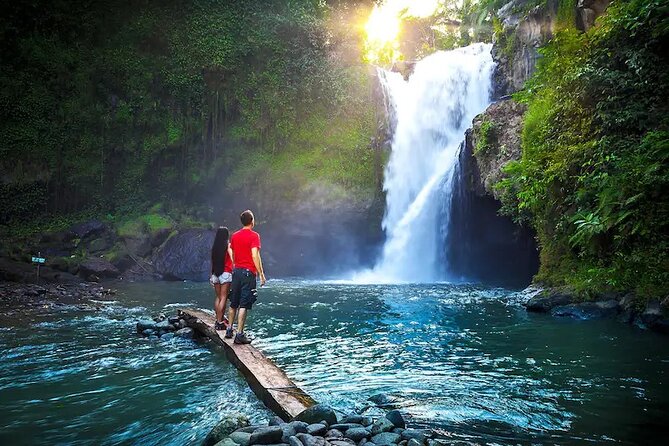 Private Full Day Tour In Ubud Bali - Tegenungan Waterfall: Lush Views and a Short Walk Option