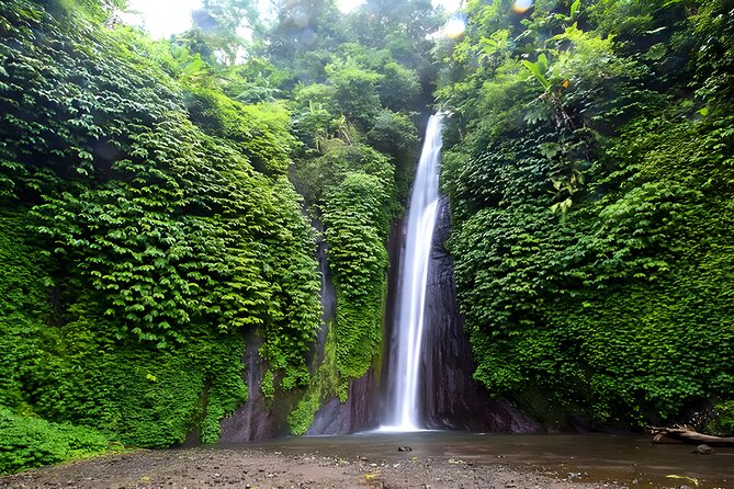 Private Full-Day Tour : North Bali Trip to Discover The Culture of Bali Island - Handara Iconic Gate: camera time at a famous north Bali photo spot