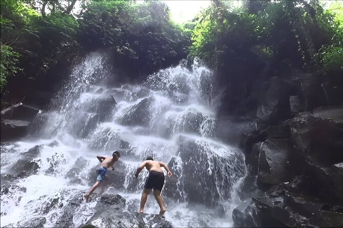 Private Full-Day Tour: The Beauty of Bali Waterfall Trip - Lunch at a local restaurant: set menu comfort, optional timing