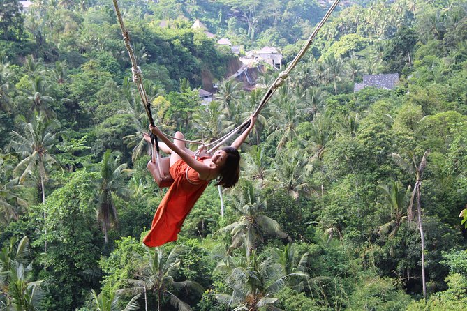 Private Full Day Tour to Ubud Highlights with Giant Swing - Stop 2: Picheaven Bali Swing and the photo-machine advantage