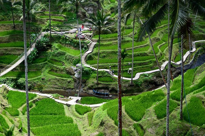 Private Full Day Tour to Ubud Highlights with Giant Swing - Stop 4: Tirta Empul Temple and the meaning of the purification