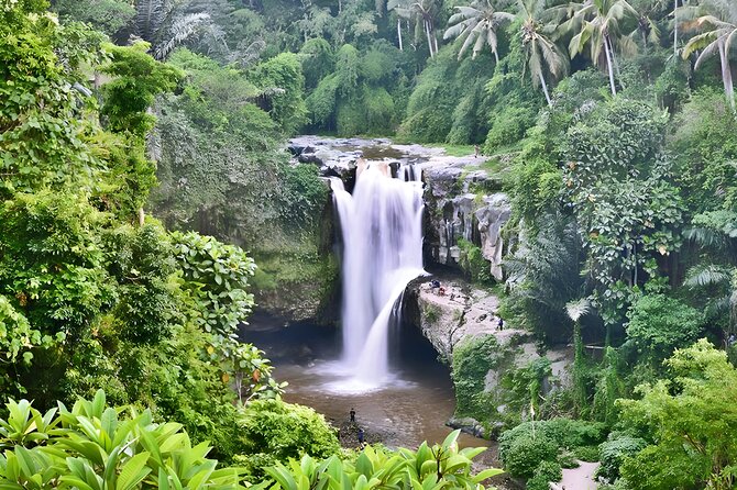 Private Half-Day Tour : Ubud Waterfall Tour Packages - Key takeaways before you go