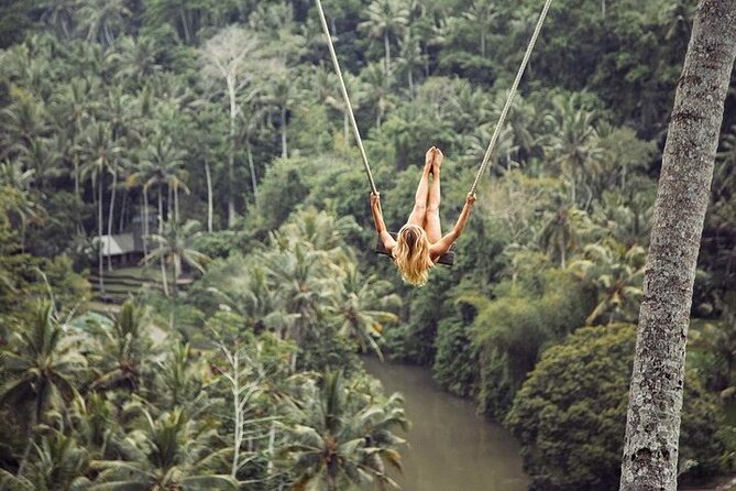 Private Inclusive Tour: The Best Of Ubud With Jungle Swing - How the day flows: waterfall, craft, terraces, temples, then Ubud center