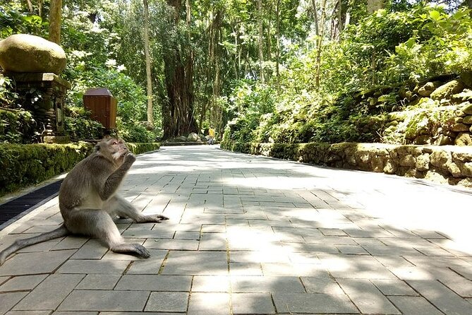 Private Inclusive Tours: 2 Days highlight of Bali - Small tips that make a big difference on this exact route
