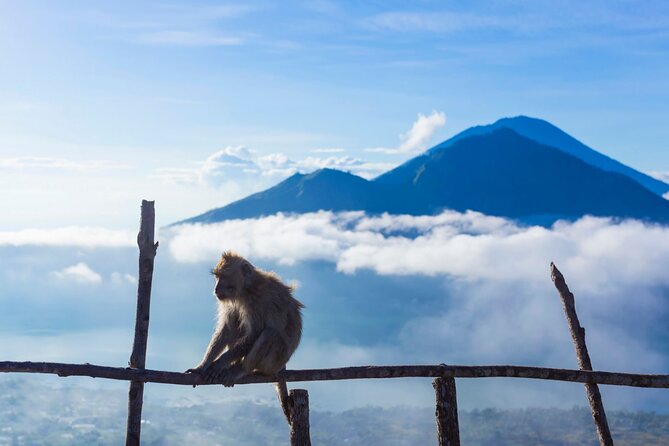 Private Mount Batur Sunrise Trekking Tour - What’s included (and what you’ll probably pay for)